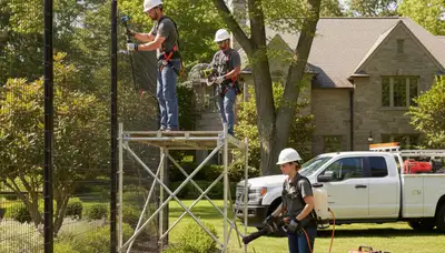Staten Island, NY deer deterrent for trees and landscape beds by tree service professionals