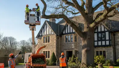 Tree service crew trimming trees in Staten Island, NY for safe, professional property care